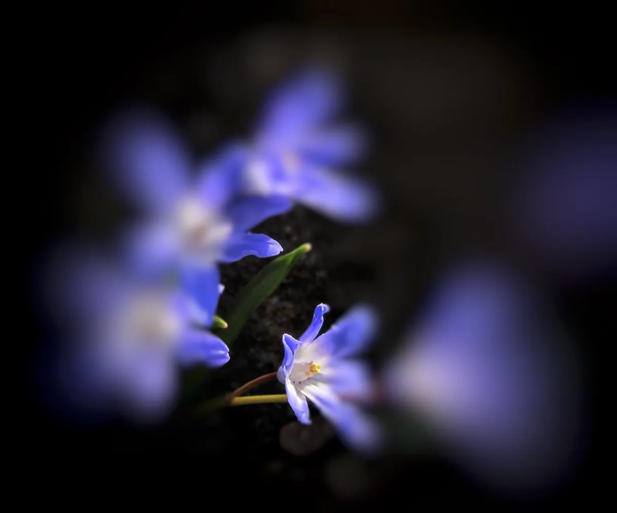 10 Best Free Things to See in Plzeň City Center (2026)